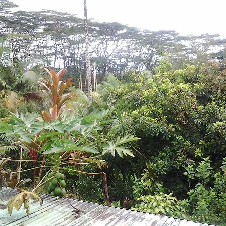 Lava Tree Tropic Inn Pahoa Exterior photo